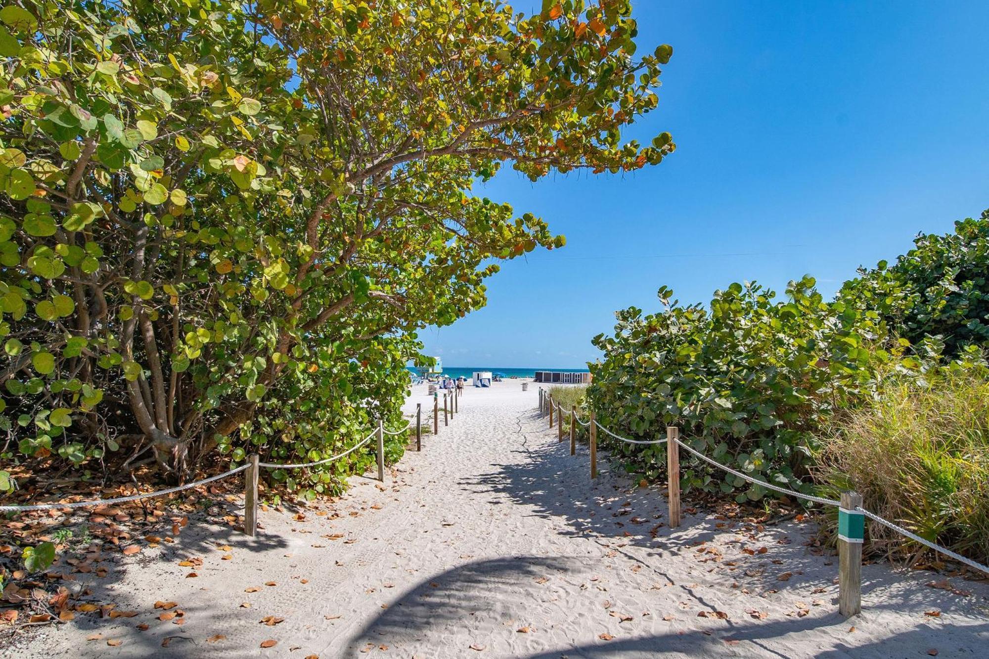 מיאמי ביץ' Charming Large Studio Near Ocean Dr - South Beach מראה חיצוני תמונה