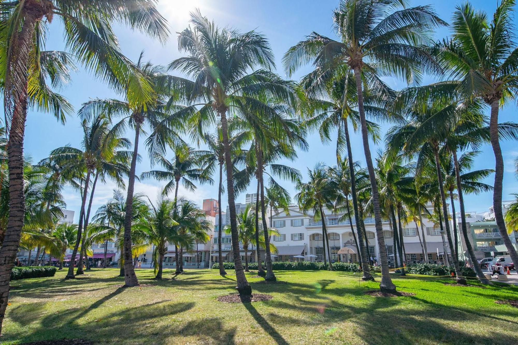 מיאמי ביץ' Charming Large Studio Near Ocean Dr - South Beach מראה חיצוני תמונה